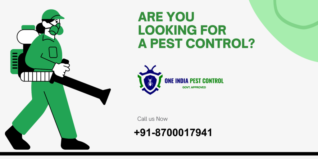 Pest control services in Ashok Vihar